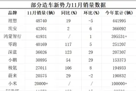 六家造车新势力11月销量创新高，部分品牌已提前完成年度目标图片