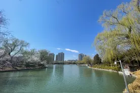 北京紫竹院：碧波晴空 春意盎然图片