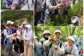 南阳市中医院举办夏季野外采药实践活动图片