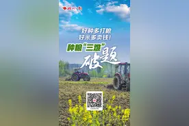 今日好稿丨好种多打粮，好米多卖钱！种粮“三难”这样破题图片