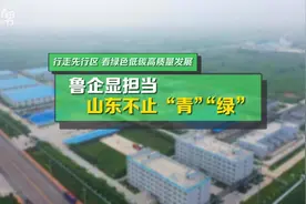让绿色成为高质量发展鲜明底色 山东在行动！图片