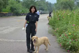 抽签选警犬！北京警察学院警犬技术专业学生选“搭档”带犬实训图片