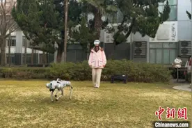 上海高校脑机接口成果助力提升四足机器人应用潜力图片