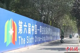 中阿博览会元素扮靓银川街头图片