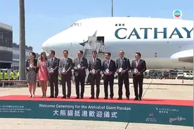 赠港大熊猫“安安”和“可可”抵达香港图片