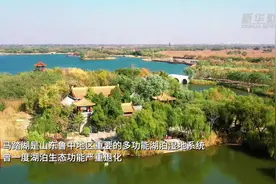 山东淄博：马踏湖景色迷人图片
