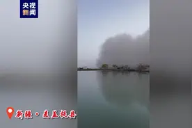 大风刮起百米沙墙 新疆南疆多地遭遇强沙尘图片