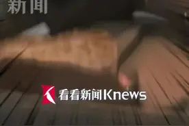美国一女子汽车后座惊现响尾蛇 或已潜伏两周图片