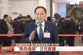 张兴海：中国新能源汽车产业发展有三个“离不开”图片