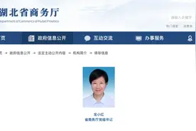 龙小红已任省商务厅党组书记图片