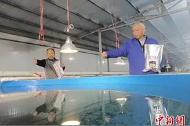 （乡村行·看振兴）江西上高：“鱼儿岸上养” 游出致富新路径图片