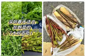 千万别碰！已紧急送医……图片