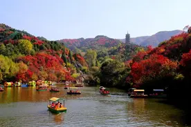 一镜知秋，红叶谷第24届红叶节壹点号大咖采风行明日启程图片