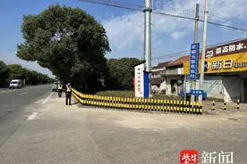 228国道启东段一违法市场终变“养眼景点”图片