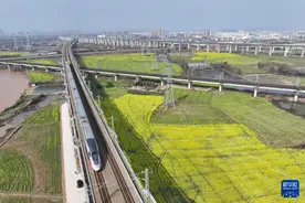 油菜花开春意浓图片