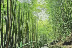 约吗？重庆多个景区中国旅游日免门票图片