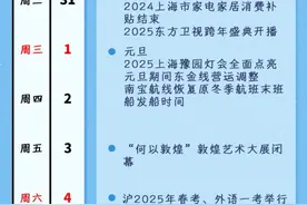 跨年活动精彩纷呈，个人所得税专项附加扣除信息确认明天截止……本周提示来了！图片