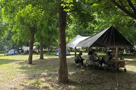 夏日聚会，户外“约帐篷”火了图片