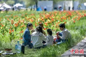 “安营扎寨”赏花海 乌鲁木齐民众乐享假日时光图片