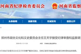 王天宇，被查！图片