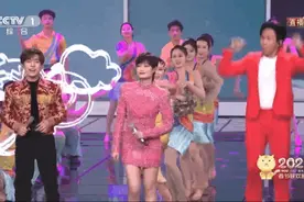 邓超缺席！春晚总导演、李宇春先后回应！图片