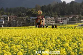 【天眼镜像】红花岗区海龙镇贡米村：“金色花海”引人醉图片