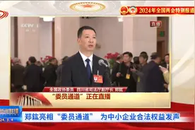 四川新闻联播丨郑鈜亮相“委员通道” 为中小企业合法权益发声视频封面