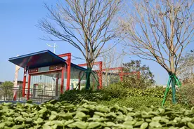 26座口袋公园，与广州地铁11号线一起“上新”图片