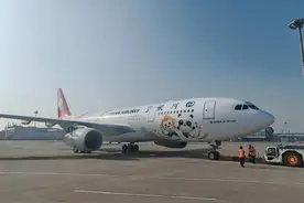 氛围感拉满！川航首架“成都世运号”主题涂装飞机成功首航图片