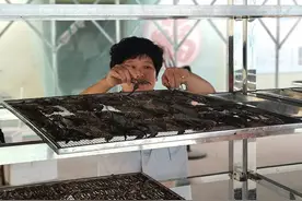 山东威海：打造全国最大的海马养殖基地图片