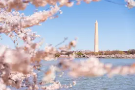 华盛顿旅游局到北上广“拉客”，中国游客预计增长近75%图片