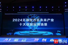 无锡经开区举行2025未来产业生态大会图片