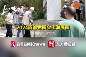 一生只开一次花 上海培育“帝王凤梨”在成都世园会盛放图片