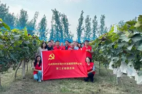 郑汴开发建设有限公司组织党员开展迎十一采摘活动图片