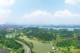 东莞市林长办主任、市林业局局长黄德洪：聚焦林长制工作四梁八柱构建，绿美东莞生态建设迈出重大步伐图片