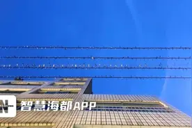 似音符舞动，连江县马鼻镇燕子云集→图片