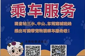“铲屎官”可以带猫猫乘车了！广东省站宠物猫乘车服务专线正式开通图片