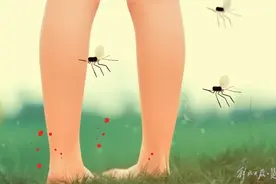 今天是“世界蚊子日”，你知道它的由来吗？图片