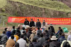 从输血向造血转变，天津援藏助力昌都基层农牧民增收致富图片