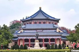 中山纪念堂成广州传统中轴线首个古树公园图片