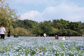 四川乐山：蓝天白云常相伴 碧水青山入画来图片