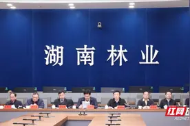 省林业局召开2024年全省林业工作电视电话会议图片