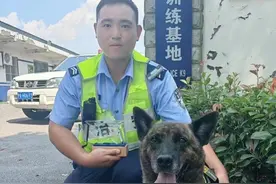 一场比赛折射的人犬关系，训导员和警犬为何是“战友”？图片