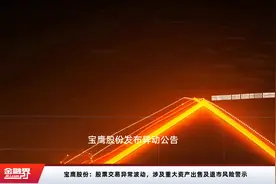 宝鹰股份：股票交易异常波动，涉及重大资产出售及退市风险警示视频封面