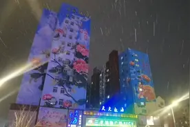 菏泽再迎降雪！山东10市将出现大雪局部暴雪 省气象台：受江淮气旋北上影响图片