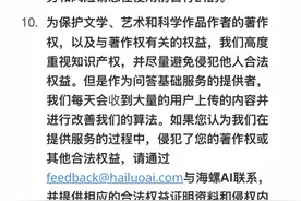 侵犯版权，MiniMax用爱奇艺素材训练AI模型遭起诉？图片