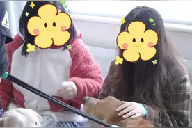 治愈系萌宠来了！华西医院迎来三位“狗医生”图片