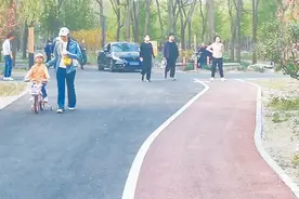 部分城市绿道“危险重重”：电动车摩托车频繁驶入 有时还有汽车混行其中图片