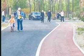部分城市绿道“危险重重”：电动车摩托车频繁驶入 有时还有汽车混行其中图片