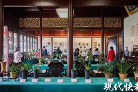 “兰香幽韵 园梦雅境”兰花展在常熟燕园开幕图片